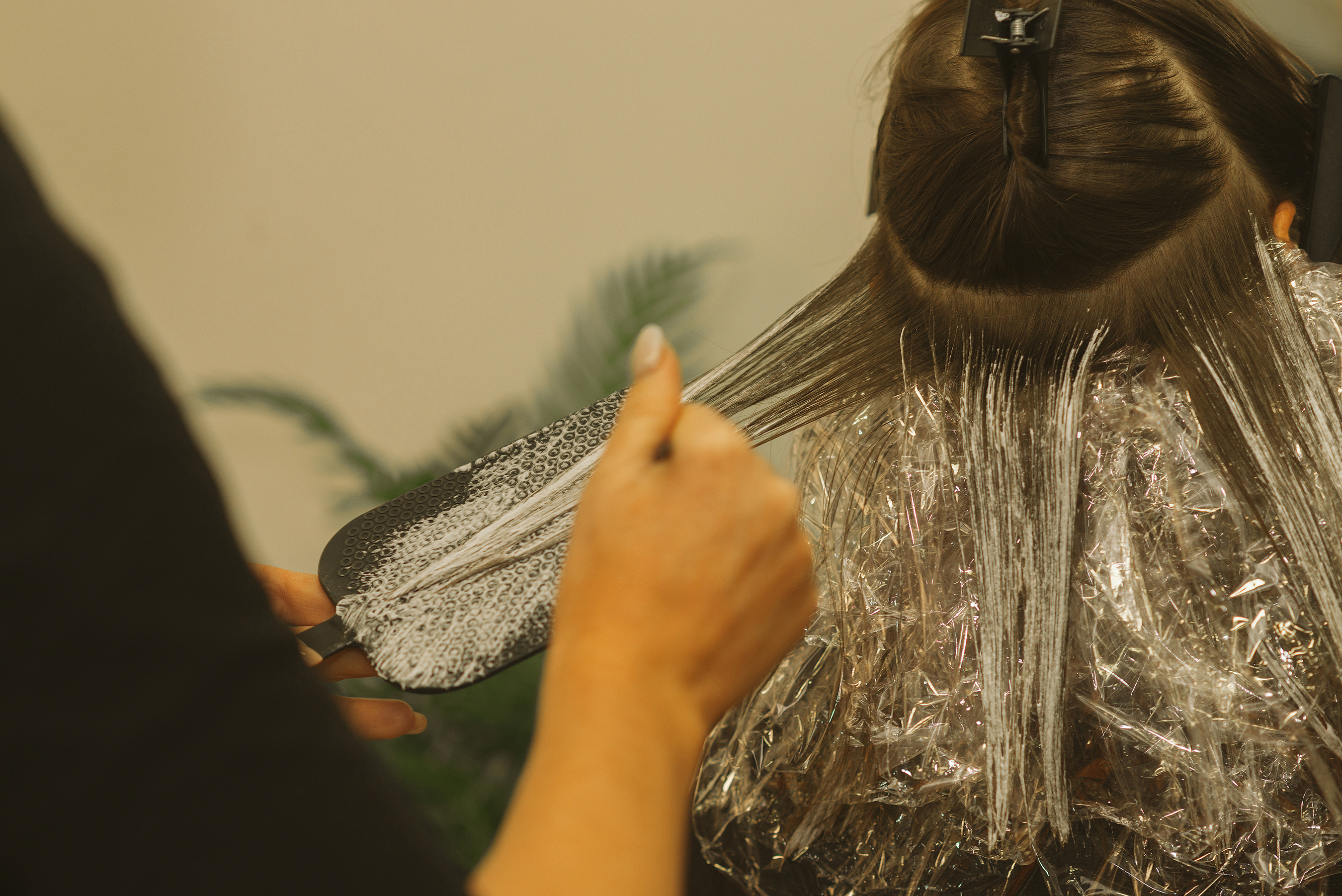 Salon Pascal Coste